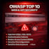 perform manual penetration testing for web apps and apis