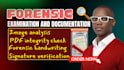 do forensic document analysis, examination, signature analysis, forensic report