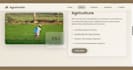 build a professional multi page responsive website