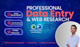 be your professional virtual assistant for data entry and web research