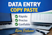 haré entrada de datos escritura y tareas básicas