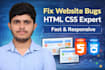 fix HTML CSS bugs and make your website responsive