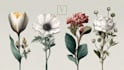 draw floral illustrations, logo, elegant flower