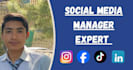 professional social media manager