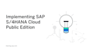 provide consulting services in sap erp and ai solutions