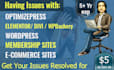 fix your wordpress issues or develop a website