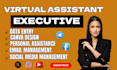 be virtual assistant social media manager data entry admin support va insta post