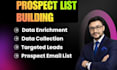 collect missing data, data enrichment, prospect list building