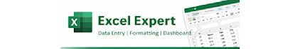 create professional excel spreadsheets, data entry