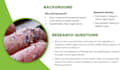 design professional presentation slides