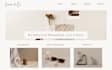 design and structure a clean shopify homepage