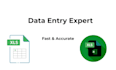manage data entry and spreadsheets professionally