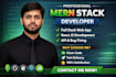 build a full stack mern web application or react website