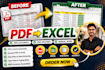 pdf files convert to excel, word and data entry