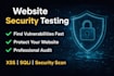 do website security testing and find vulnerabilities