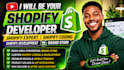 be your shopify expert and shopify developer brand store