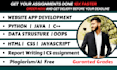 urgent programming assignments in python java cpp html css website developer