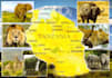 send you postcard from tanzania