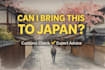 help you avoid japan customs problems before traveling