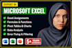 do your excel ,ms word assignments, project and modules urgently