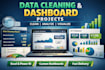 provide professional data related works