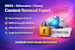 remove negative content dmca defamation and privacy violations