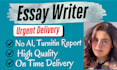 do urgent essay writing as an essay writer in 24 hours
