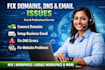 connect domai, fix website errors, and setup business email