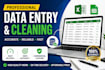 do data entry and data cleaning