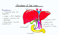write notes, letters and documents