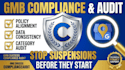 audit your profile to ensure compliance with google latest rules