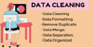 clean messy data, remove duplicates, organize and fix errors fast