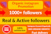 get 1000 organic instagram followers