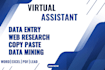 do microsoft excel data entry