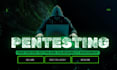 do penetration testing, vulnerability assessment and provide website security