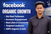 do facebook promotion and grow your page organically