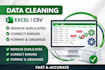 clean your excel or CSV data