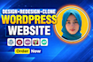 clone redesign, replicate website copy clone redesign