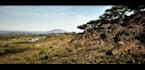 build 3d game environment level design metaverse environment in unity or unreal