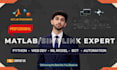 do matlab, simulink, signal and image processing projects