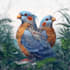 draw a scientific illustration