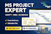 create professional ms project schedule, gantt chart and wbs