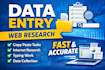 do accurate data entry, web research, copy paste and typing work