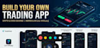 develop trading app, crypto bot, forex automation system