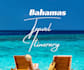 plan your full trip to the bahamas