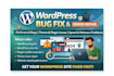 fix wordpress errors, wordpress bug fix, theme, plugin bug, speed issue, website