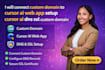 connect custom domain to cursor ai web app setup cursor ai dns ssl custom domain