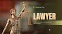 professionally draft legal contracts and agreements
