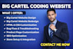 edit fix update fix bug design redesign big cartel coding website SEO update