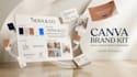 design a professional canva brand kit and brand style guide